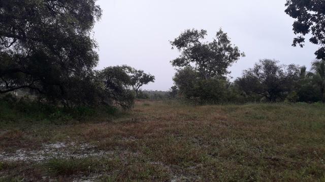 Fazenda em Conde, 18 tarefas - Foto 2
