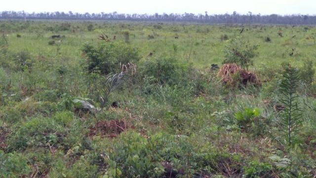 Fazenda em Marcelândia - Foto 7