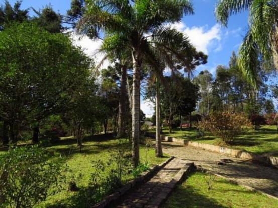 Terreno para alugar em Granja das acacias, Quatro barras cod:13074001 - Foto 9