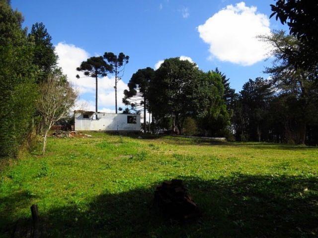 Terreno para alugar em Granja das acacias, Quatro barras cod:13074001 - Foto 5