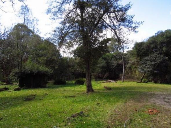 Terreno para alugar em Granja das acacias, Quatro barras cod:13074001 - Foto 2