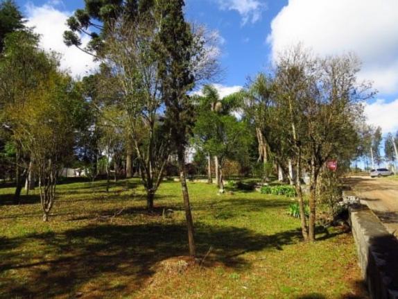 Terreno para alugar em Granja das acacias, Quatro barras cod:13074001 - Foto 10