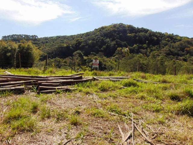 Área de Terras em Muda Boi em Montenegro - 03 - Foto 7
