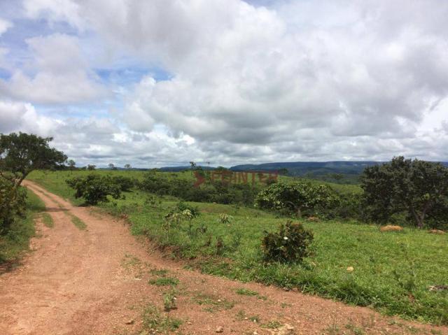 Fazenda com 4 dormitórios à venda, 310 alqueirão cidade de deus - cocalzinho de goiás/go - Foto 9