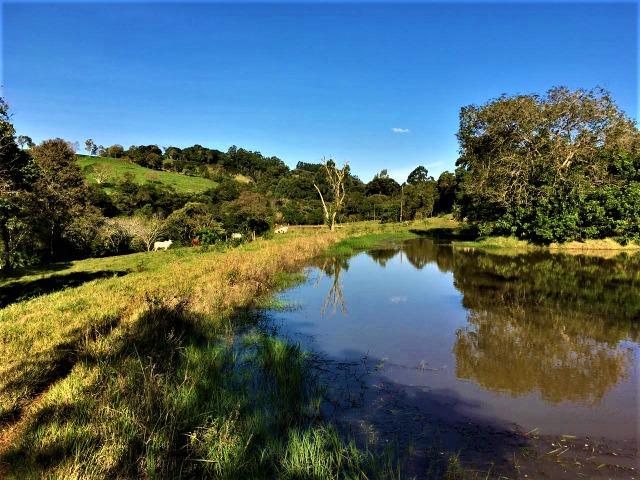 Sítio em Céu Azul - Foto 10