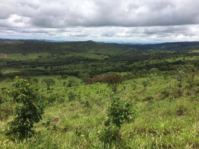 Fazenda com 4 dormitórios à venda, 310 alqueirão cidade de deus - cocalzinho de goiás/go - Foto 10