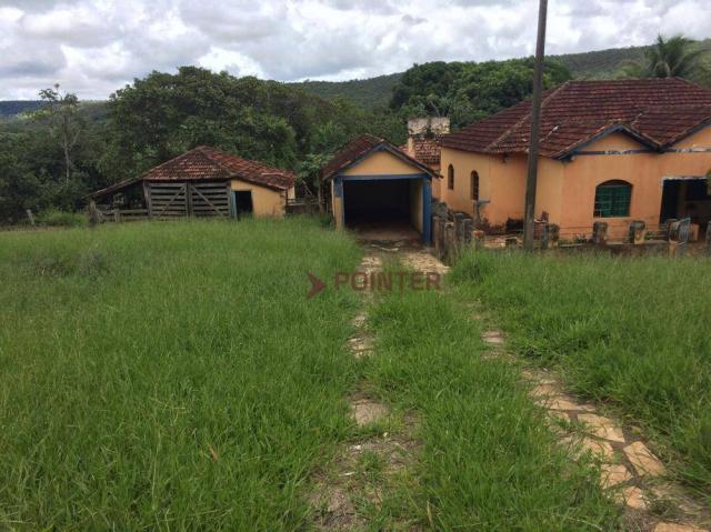 Fazenda com 4 dormitórios à venda, 310 alqueirão cidade de deus - cocalzinho de goiás/go - Foto 15