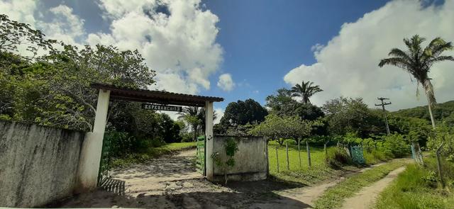 Granja proximo ao condominio riserva alhandra - Foto 4