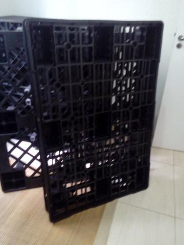 Palete Plastico