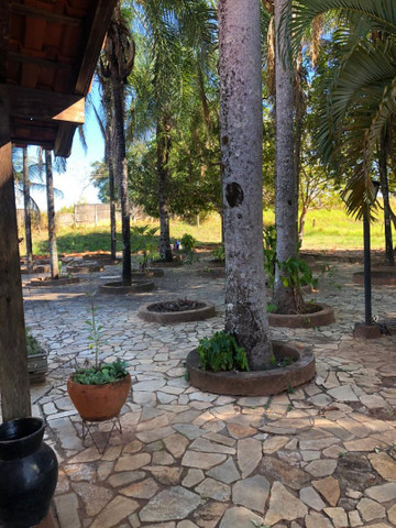 Sitio Merediano 15.5 alq ac troca Rio Preto - Foto 3