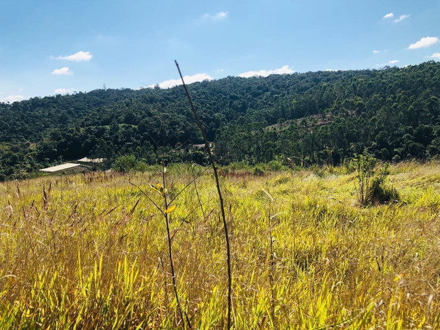seu terreno de 1000m2 pra sua chacrinha a 15minutos de Mairinque (De@ - Foto 7