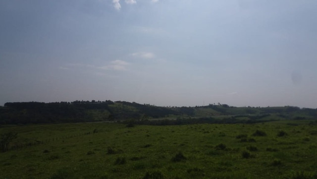 Vendo Excelente Sitio em Torre de Pedra ao lado Fazenda Sao Jorge - Foto 10