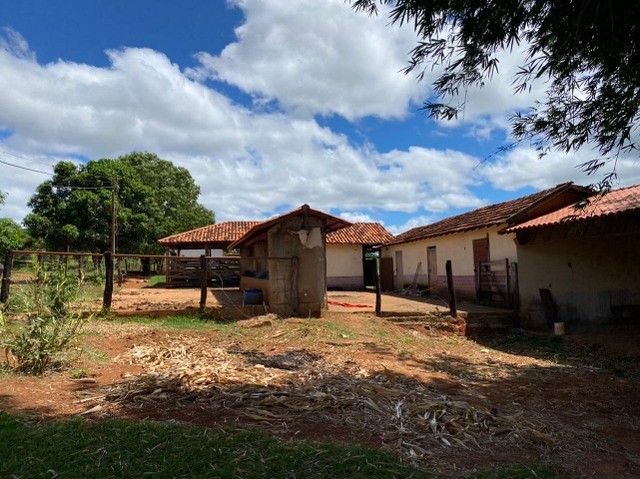 Fazenda 17 ha toda em terra de cultivo, agua por gravidade. (Varias opçoes) Jaboticatubas - Foto 3