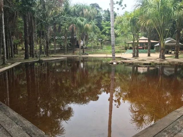 Vivenda das Palmeiras - Disponível para Aluguel - Foto 8