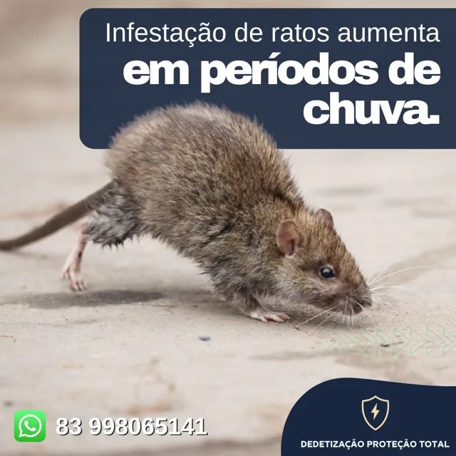 Dedetização controle de praga - Foto 3