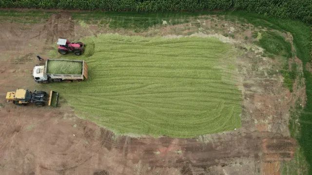 Silo de milho. - Foto 2