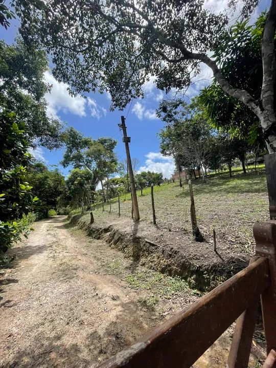 Venda de Sitio com 2.1 hectares escriturado em gravata com bastante de água !!!! - Foto 8