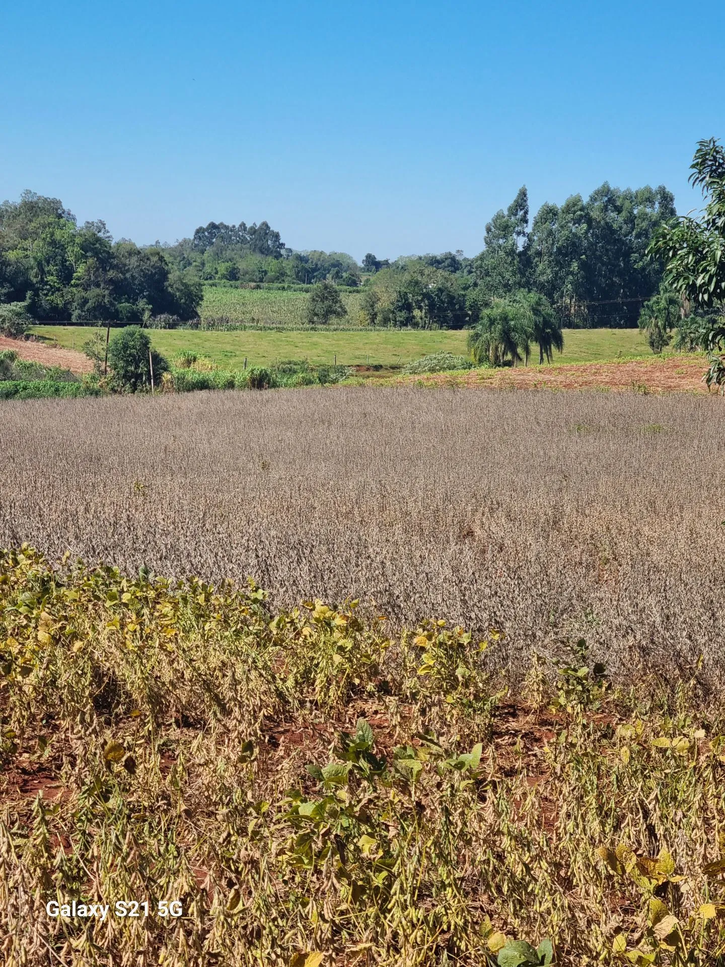 Chácara 10.400 m2 Venâncio Aires