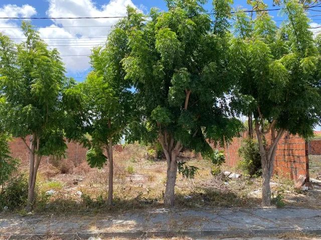 foto - Fortaleza - Álvaro Weyne