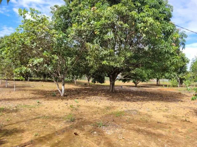 2,5 hectares Padre Lúcio Águas lindas  - Foto 2