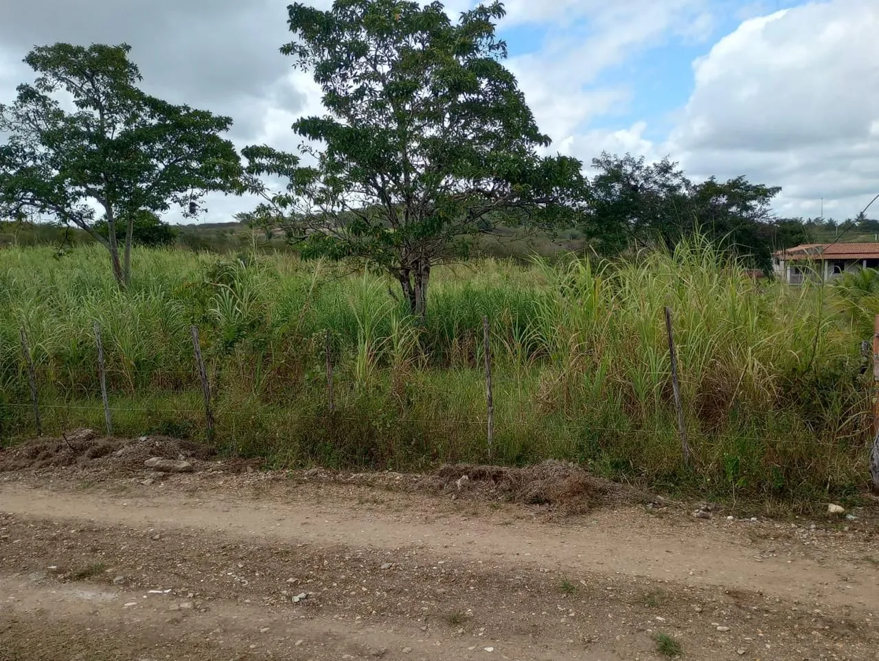 Terreno tipo chácara