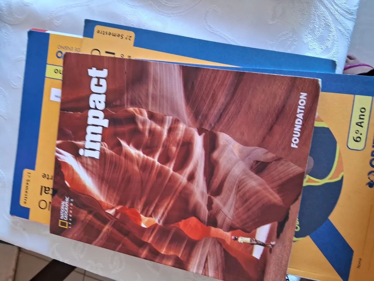 Livros Escolares - colégio objetivo - 6º Ano