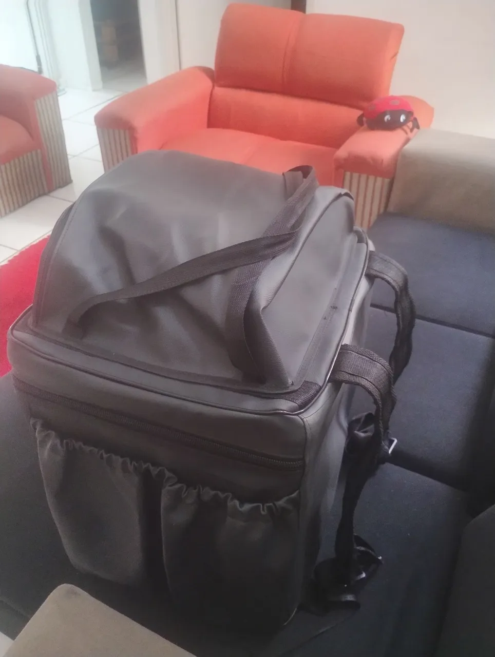 Bolsa térmica para lanches... *44