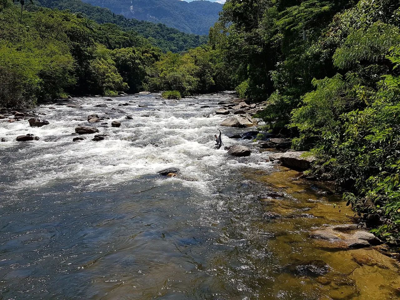 Acomodações aconchegantes em meio à natureza - Foto 5
