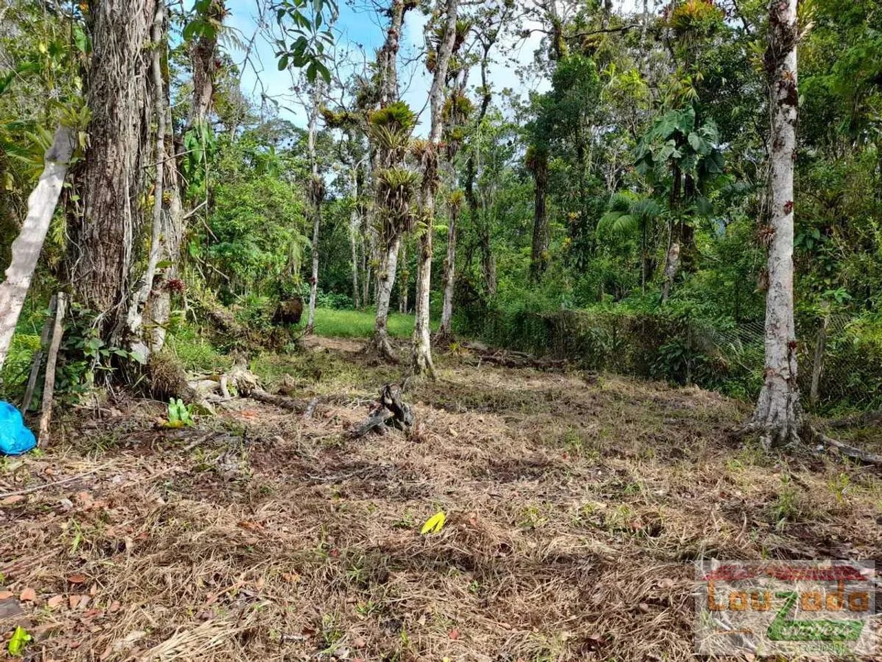 Terreno para Venda em Peruíbe, Guarau Garça Vermelha - Foto 3