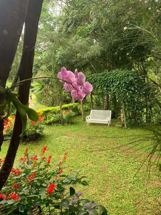 Sítio com piscina e área verde em local tranquilo - Foto 4