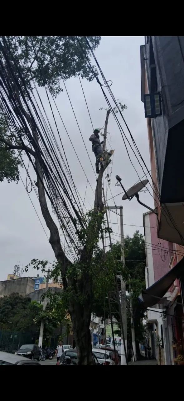 Podas e de arvores só chamar  - Foto 3