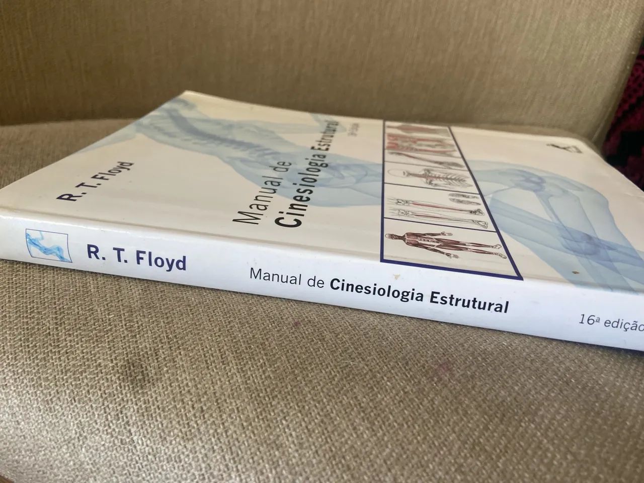 Manual de Cinesiologia Estrutural 16ª Edição R.T. Floyd - Foto 2