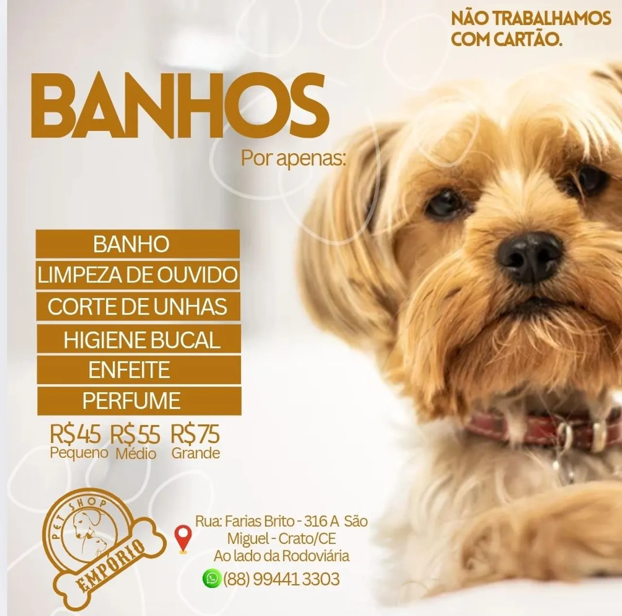 Banho e tosa em Crato