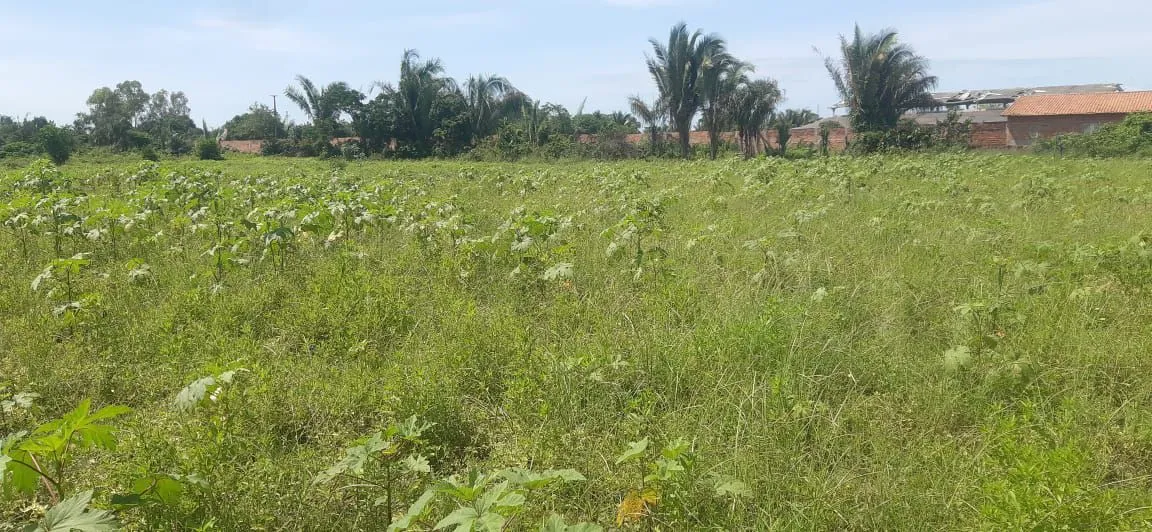 Terreno com mais 20.000²,Px aos Parques de Vaquejada J LUCENA e João e Maria.