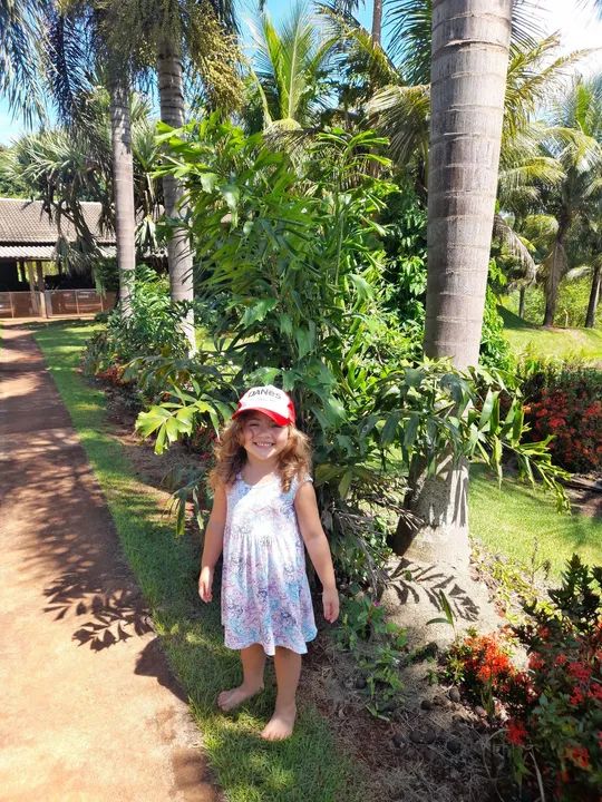 Palmeira Rabo de Raposa.  - Foto 3