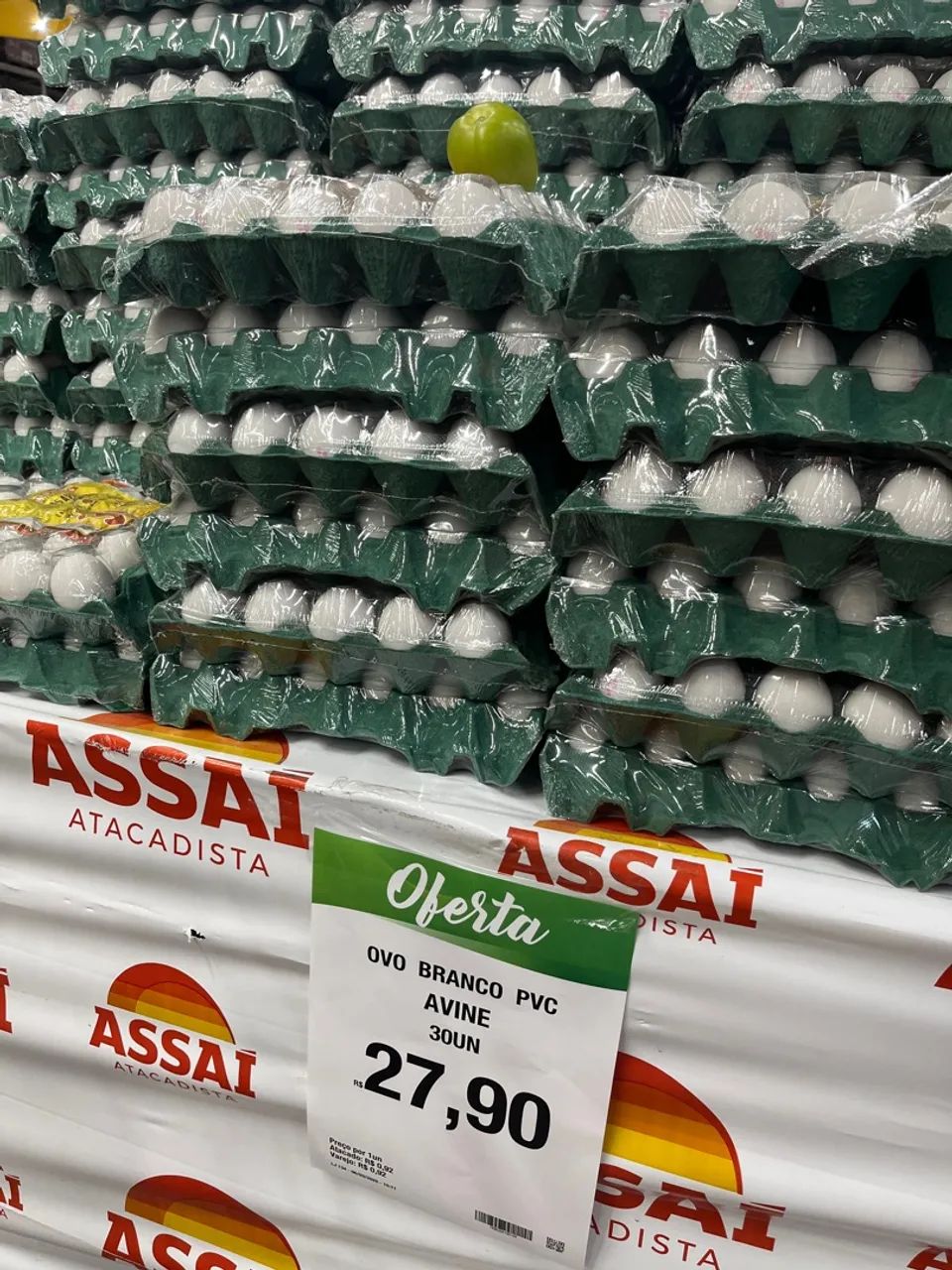 Cuidador de galinhas e serviços gerais - Foto 3