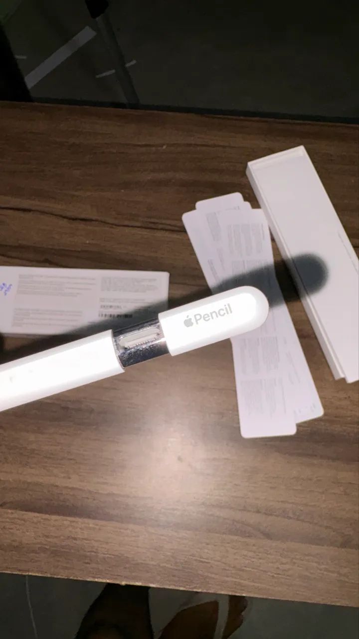 Apple Pencil USB-C63825073273473120