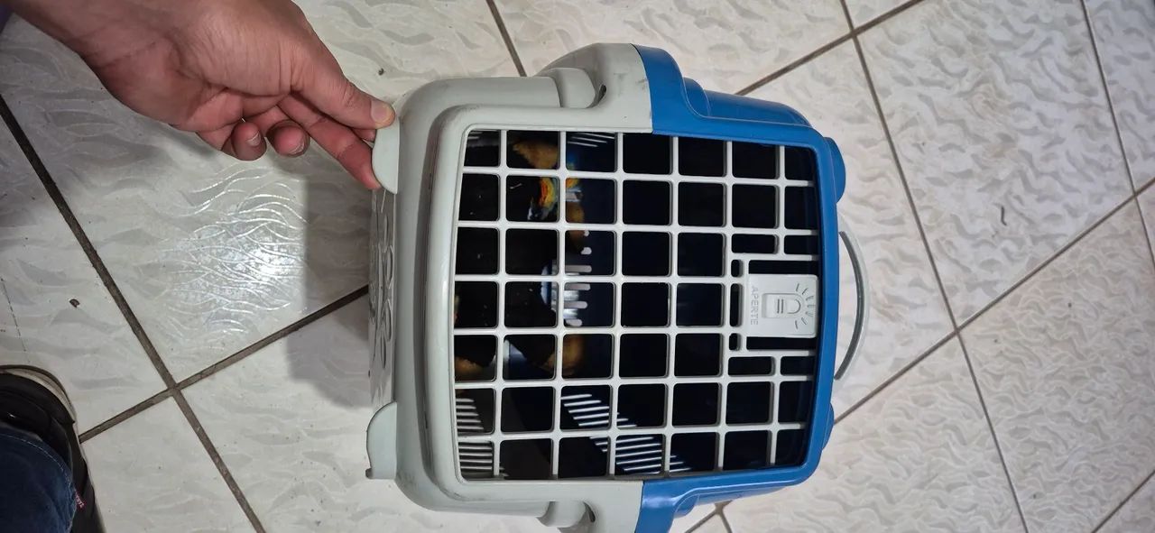 Transporte para Gatos e Cães de Pequeno Porte - Foto 2