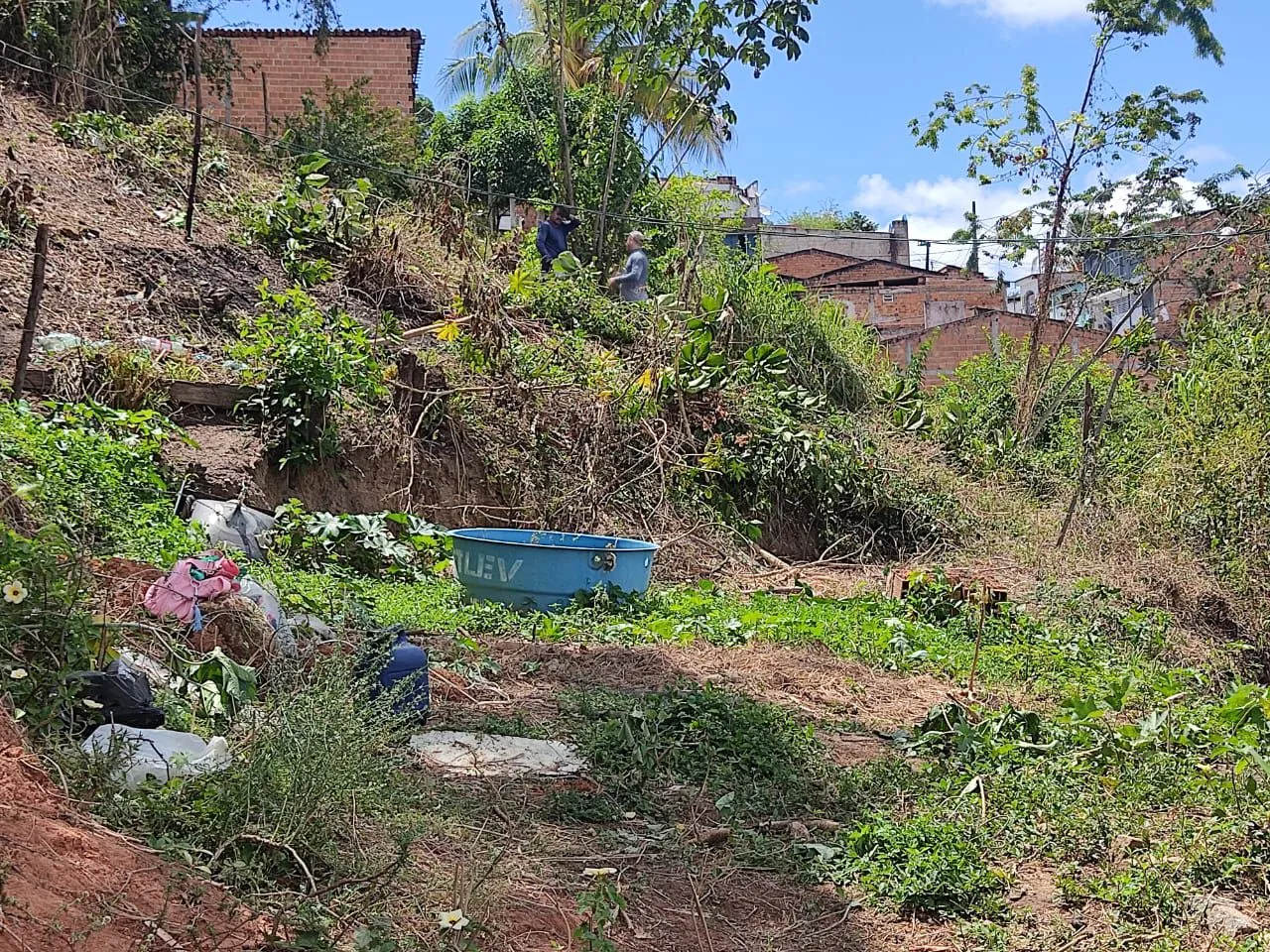 Terreno