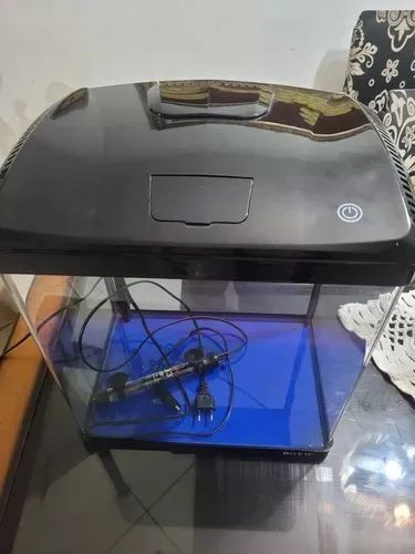 Aquário Boyu Usado, Com Aquecedor, Termómetro, Midia, Pedras (Usado)