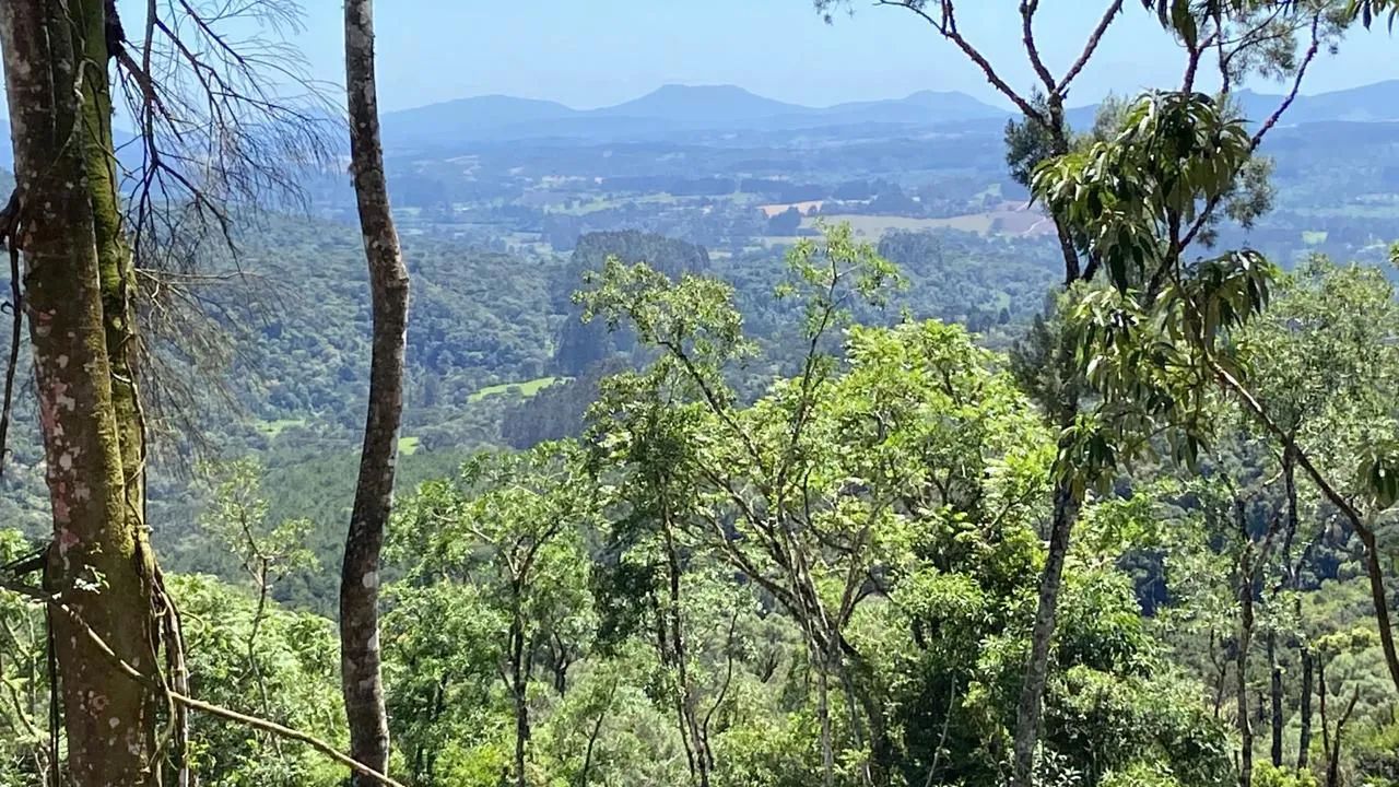 Sítios Rio Rufino SC - Foto 4