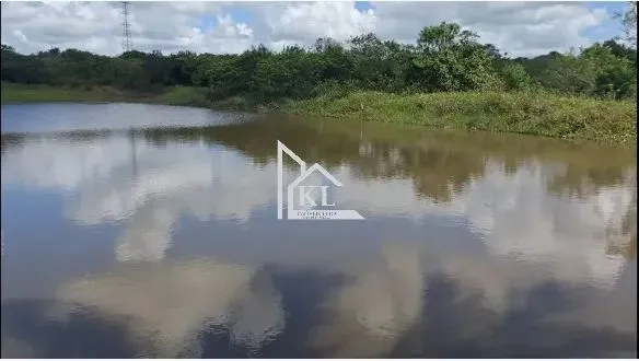 Belissimo Sitio - 9Hectares - Frutas Em Produção - Próximo a Macaiba