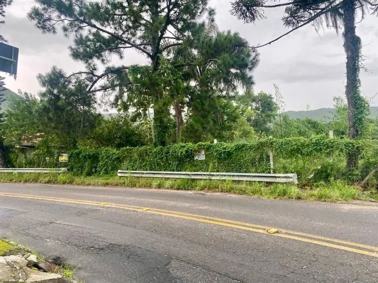 À venda | Terreno com 1531 m² - Ratones, em Florianópolis. - Foto 2
