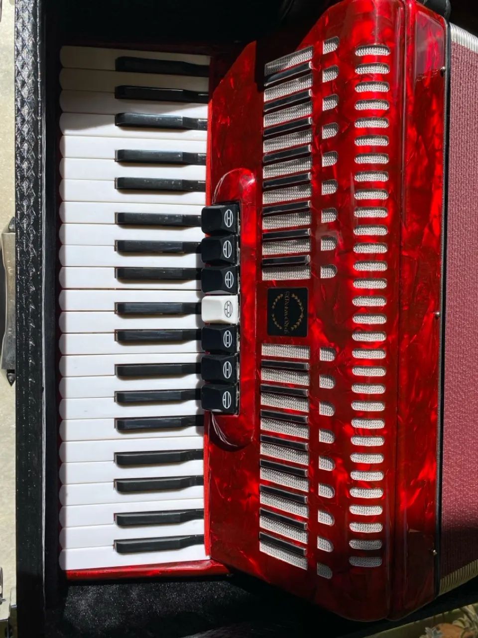 Sanfona/Acordeon Prowinds 120 Baixos - Foto 2