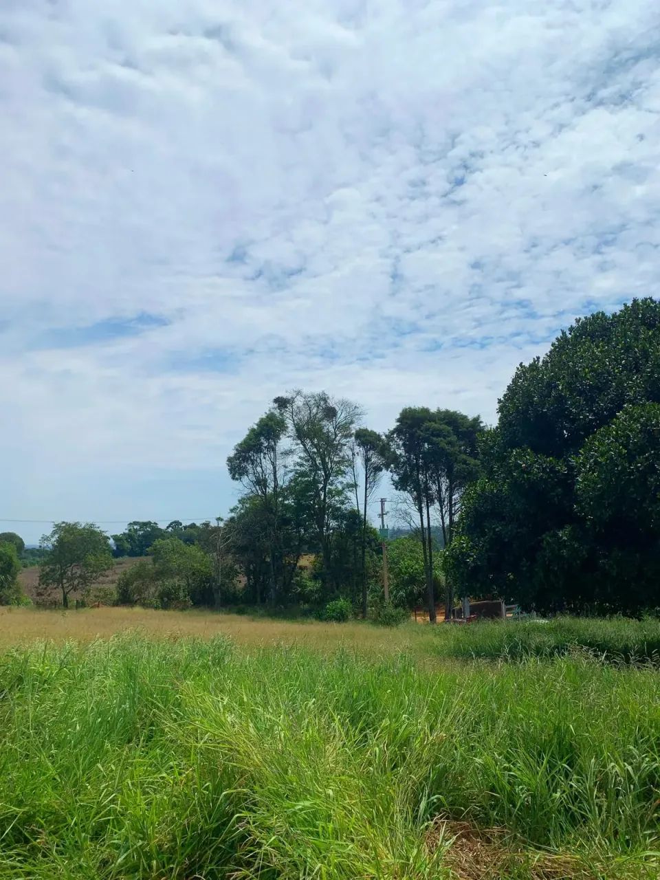 Lago para pesca, trilha e playground  Tudo para sua família! - Foto 3