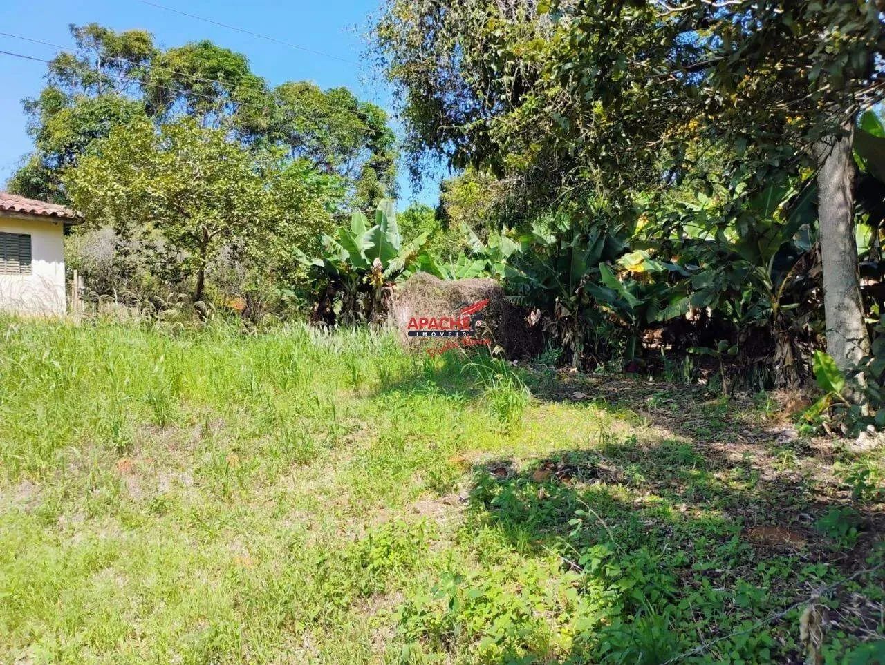 Sítio Mãe Maria em Guaraciaba MG - Foto 4