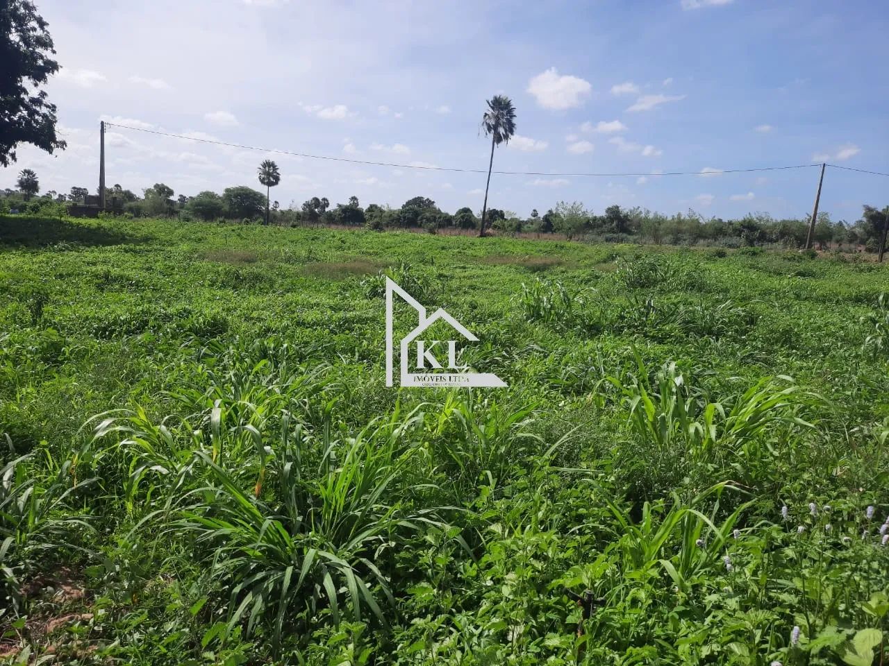 Fazenda de 120 Hectares com Abundância de Água - Oportunidade para Investimento ou Lazer - Foto 11