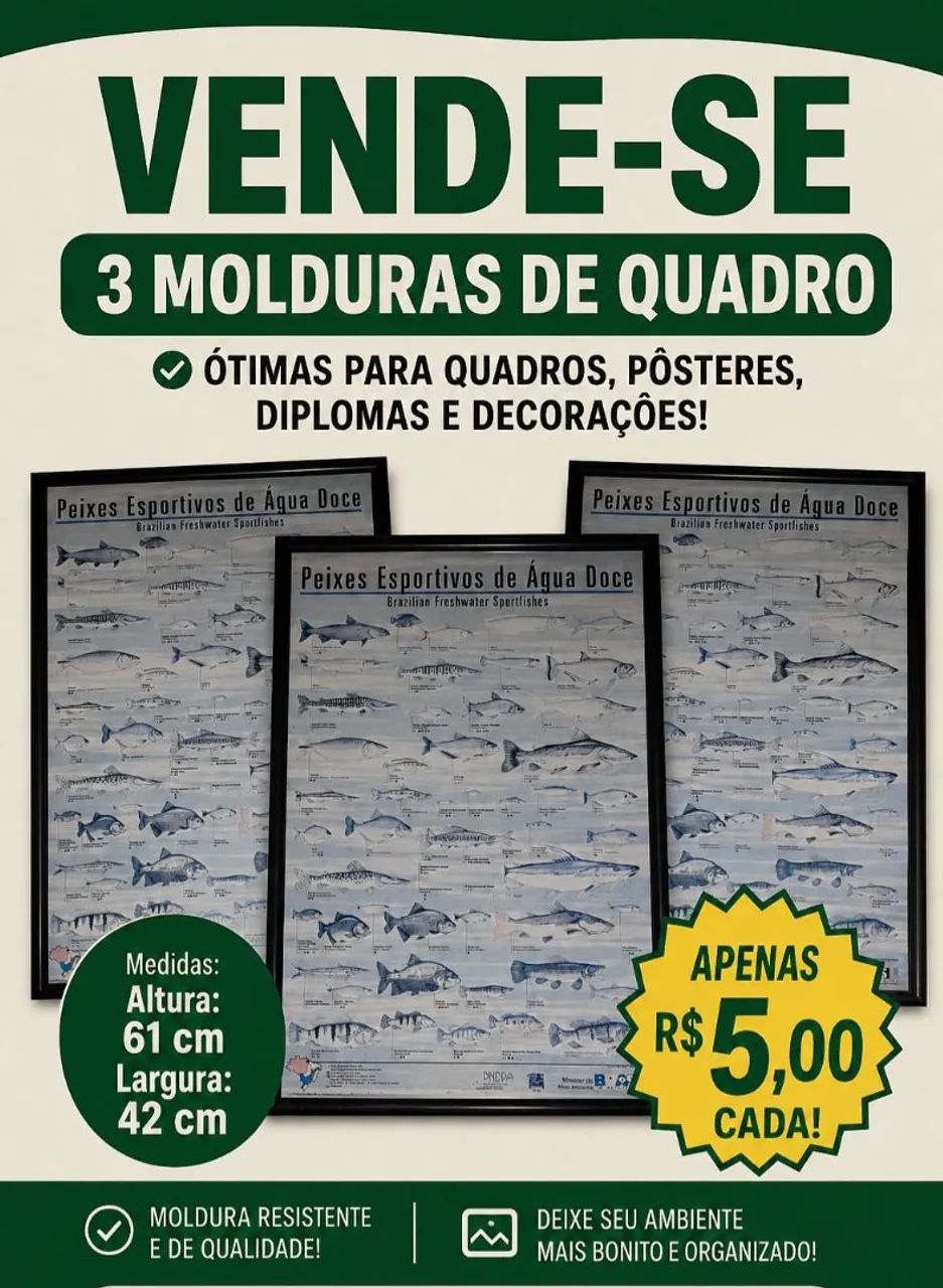 Molduras 
