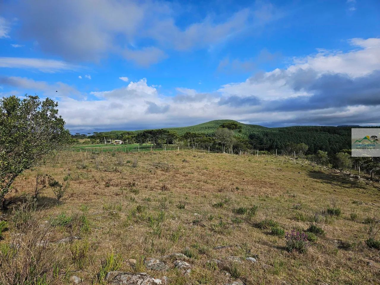 Terreno rural 20 hectares no Cedro - Foto 3