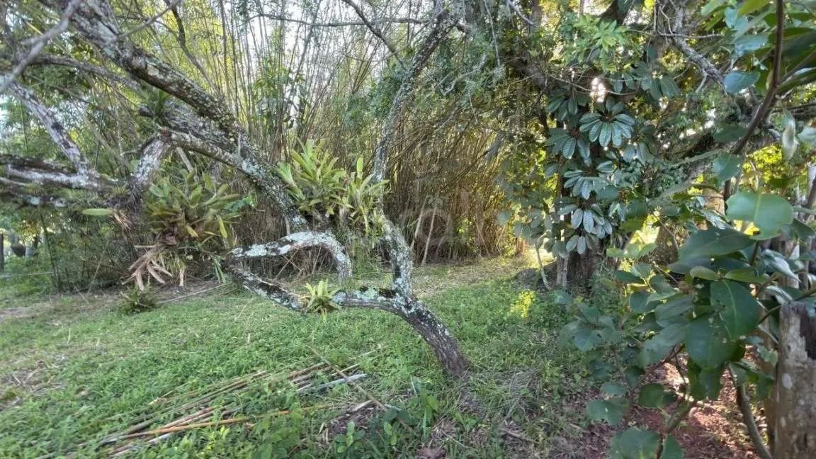 Terreno para Venda em Florianópolis, Ponta das Canas - Foto 5